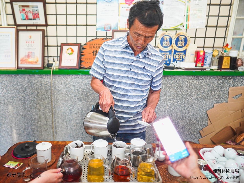 佳芳休閒茶園 台東景點 親子景點 初鹿景點 有機茶園 台東採茶 台東茶園 蛋捲diy體驗 台東一日遊