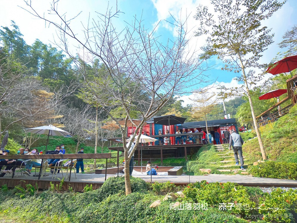 向山落羽松 日月潭自行車道 湖畔 落羽松步道 日月潭景點推薦 IG打卡 南投親子