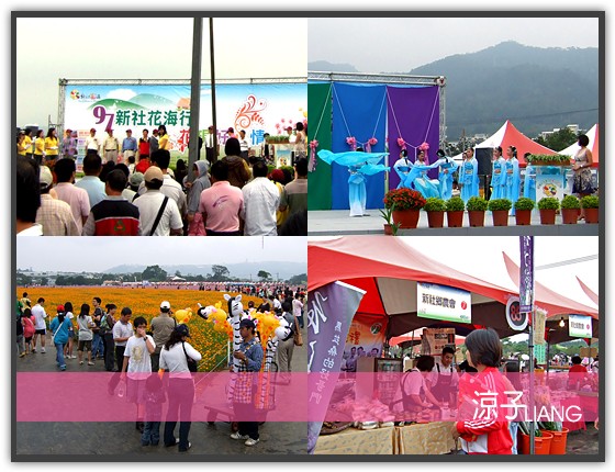 新社花海02