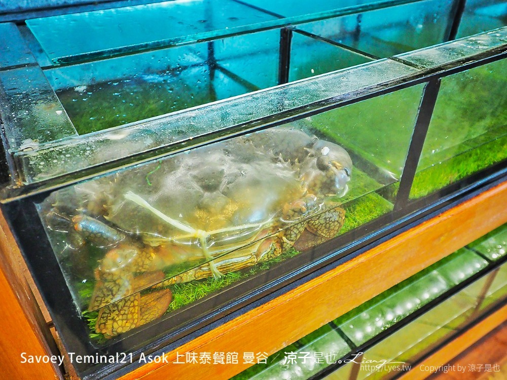 Savoey Teminal21 Asok 上味泰餐館 曼谷