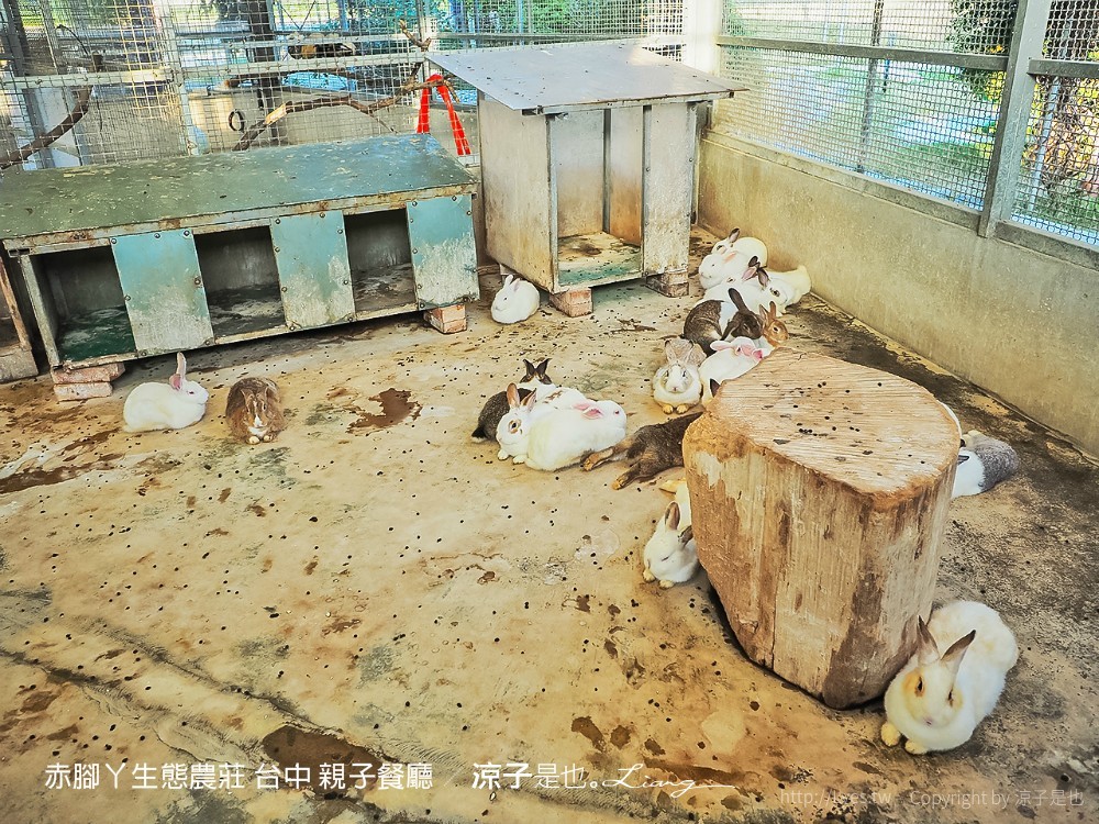 赤腳ㄚ生態農莊 台中 親子餐廳