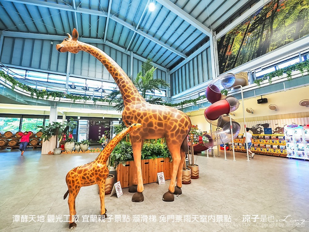 潭酵天地 觀光工廠 宜蘭親子景點 溜滑梯 免門票雨天室內景點