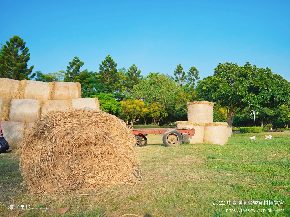 2022中臺灣 氣墊遊戲區 溜滑梯戲水池 農產品展售 美食小吃