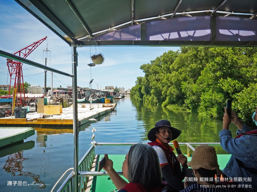 四鯤鯓鯤鯓湖紅樹林生態觀光船 台南親子景點 台南紅樹林 台南新景點 台南一日遊 生態旅遊 蚵殼diy體驗 導覽觀光船