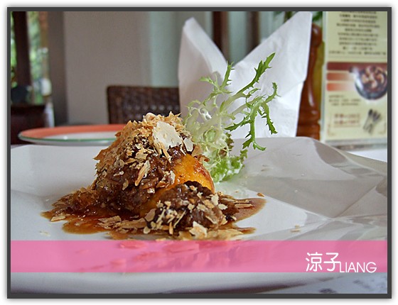 泓品 三義 棕櫚泉11