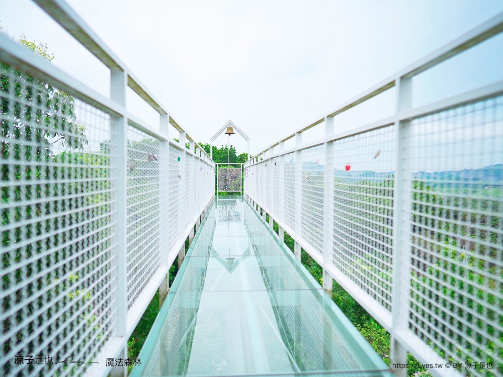 魔法森林景觀咖啡小餐館 菜單 台南景點 玉井景點 魔法森林 天空玻璃步道 台南景觀餐廳推薦