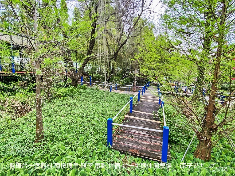 楓樺台一渡假村 南投埔里 親子 景點 住宿 台一生態休閒農場