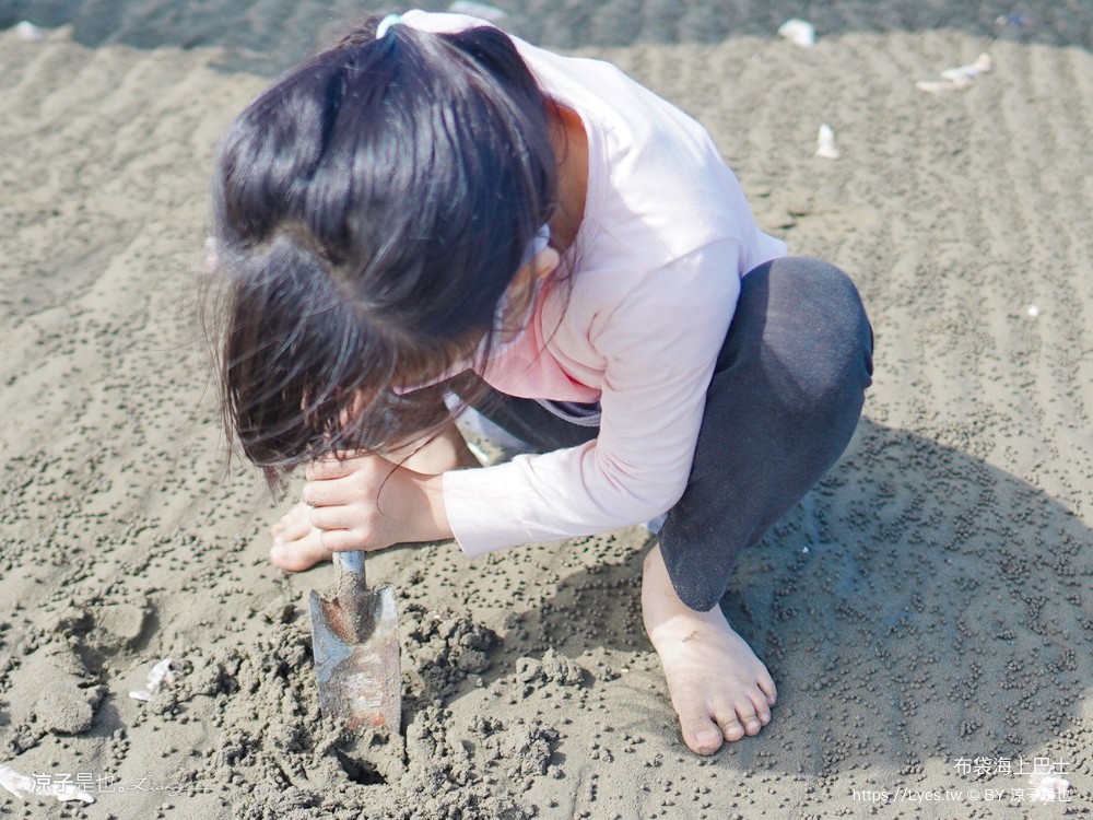布袋海上巴士 嘉義親子景點 門票價格 蛋糕沙灘 網美拍照打卡 生態導覽
