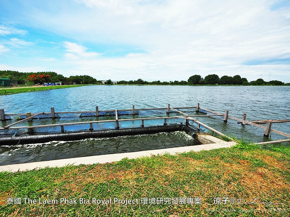 泰國 The Laem Phak Bia Royal Project 環境研究發展專案