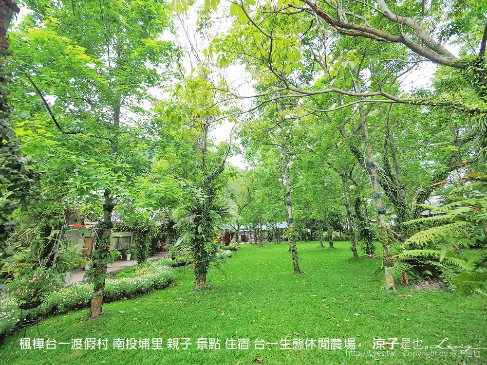 楓樺台一渡假村 南投埔里 親子 景點 住宿 台一生態休閒農場
