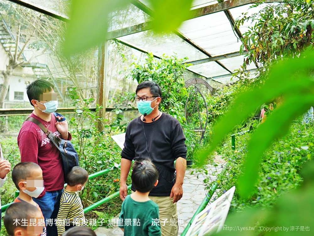 木生昆蟲博物館 南投親子 埔里景點