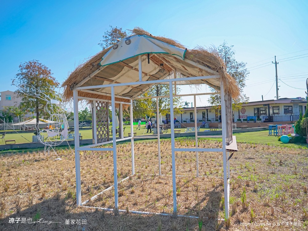 董家花田 菜單 門票 景點 彰化景點 田尾景觀餐廳 花海 戶外野餐 咖啡 交通