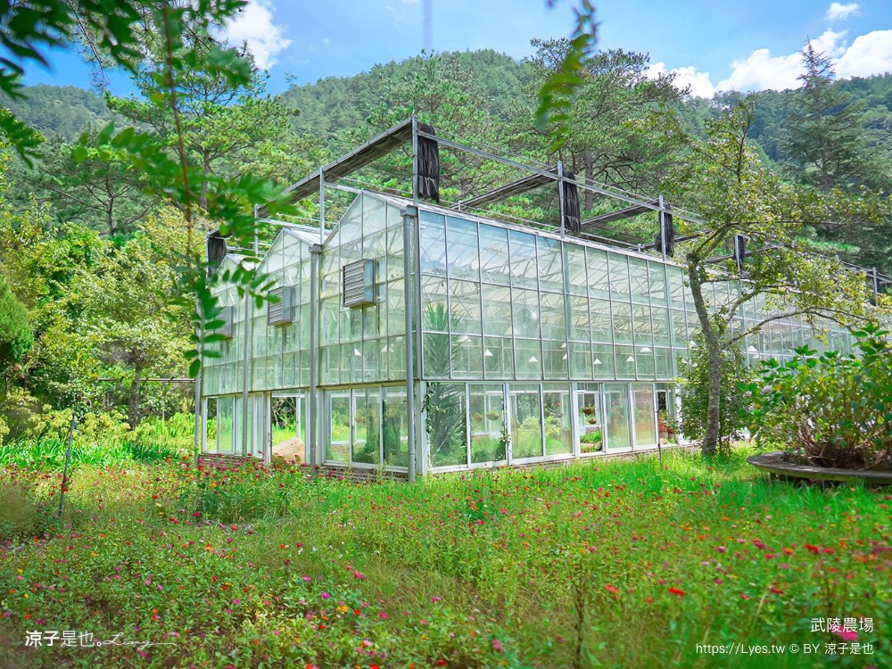 福壽山農場 民宿房型 住宿 露營 賞楓