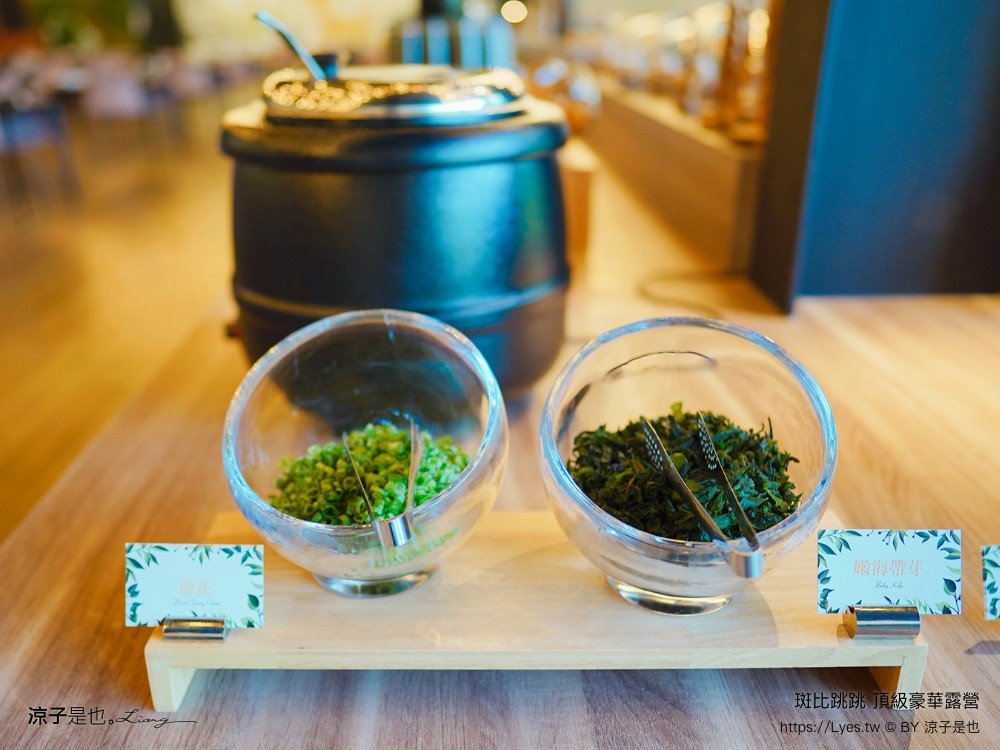 斑比跳跳 苗栗住宿 三灣棕櫚灣 頂級豪華 苗栗親子景點 露營車房型 價位優惠 評價