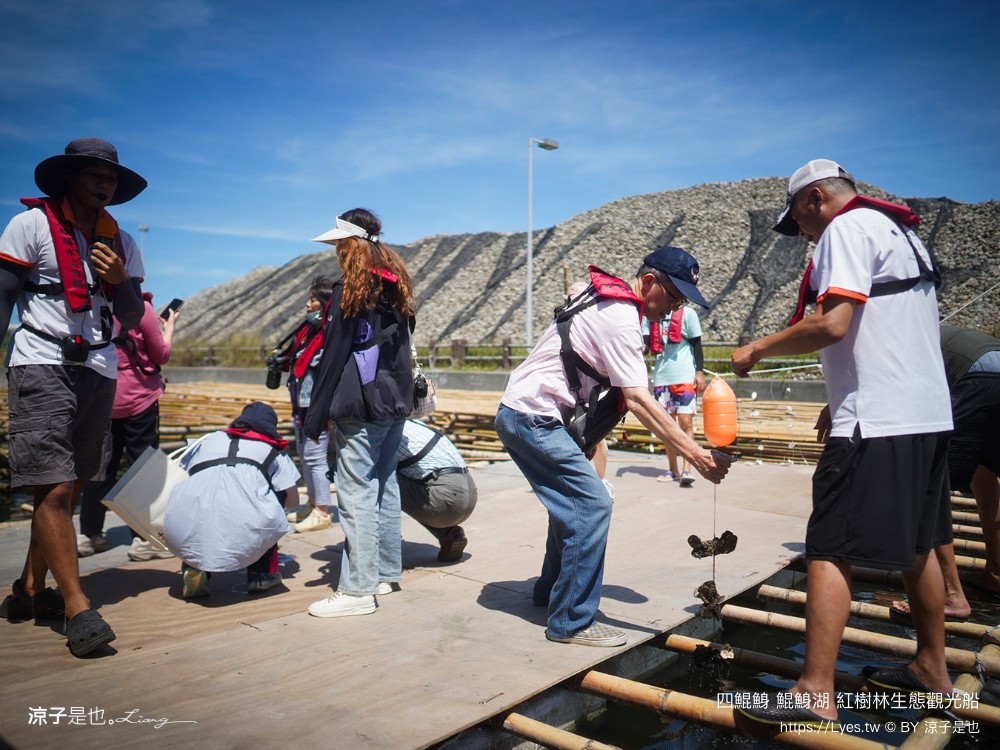 四鯤鯓鯤鯓湖紅樹林生態觀光船 台南親子景點 台南紅樹林 台南新景點 台南一日遊 生態旅遊 蚵殼diy體驗 導覽觀光船