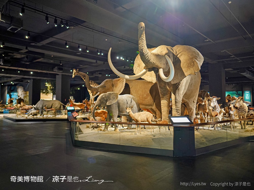 南博ONE 慢遊手札 2022臺南博物館節 奇美博物館 門票優惠 山上花園水道博物館 交通