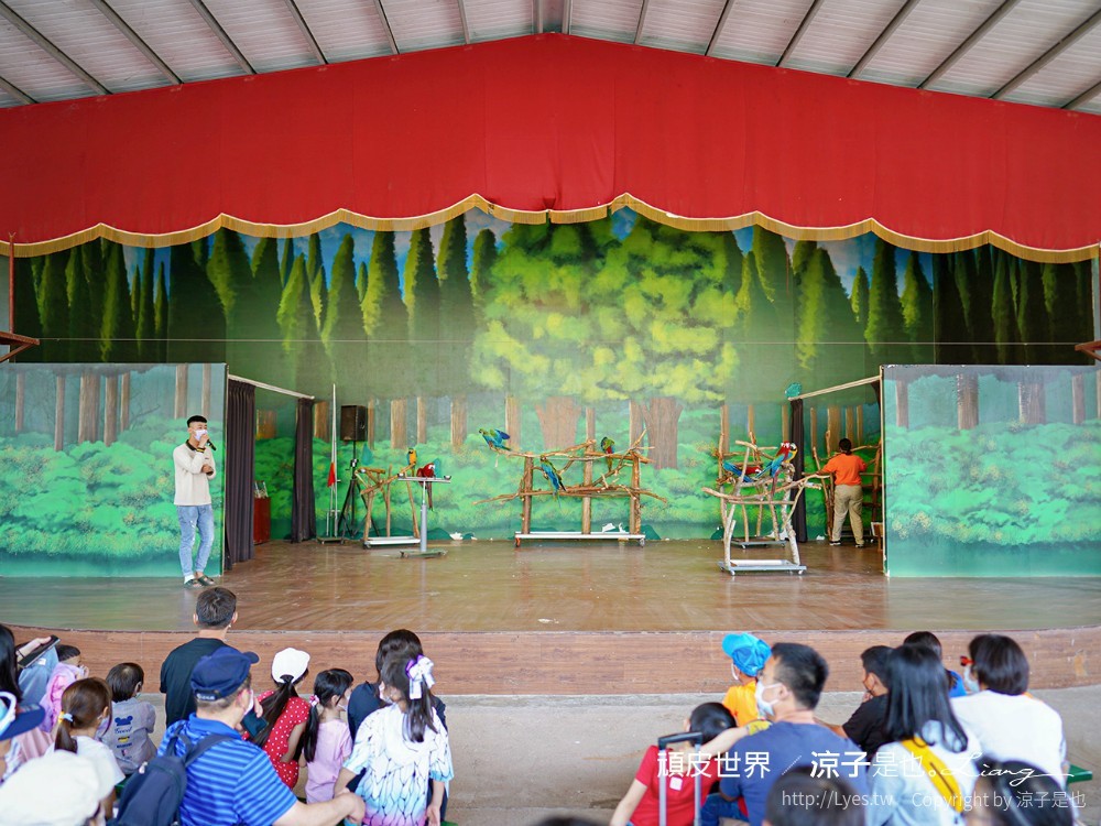 頑皮世界野生動物園攻略 門票優惠 台南親子景點 南台灣動物園 水豚君 長頸鹿 遊樂設施 戲水池