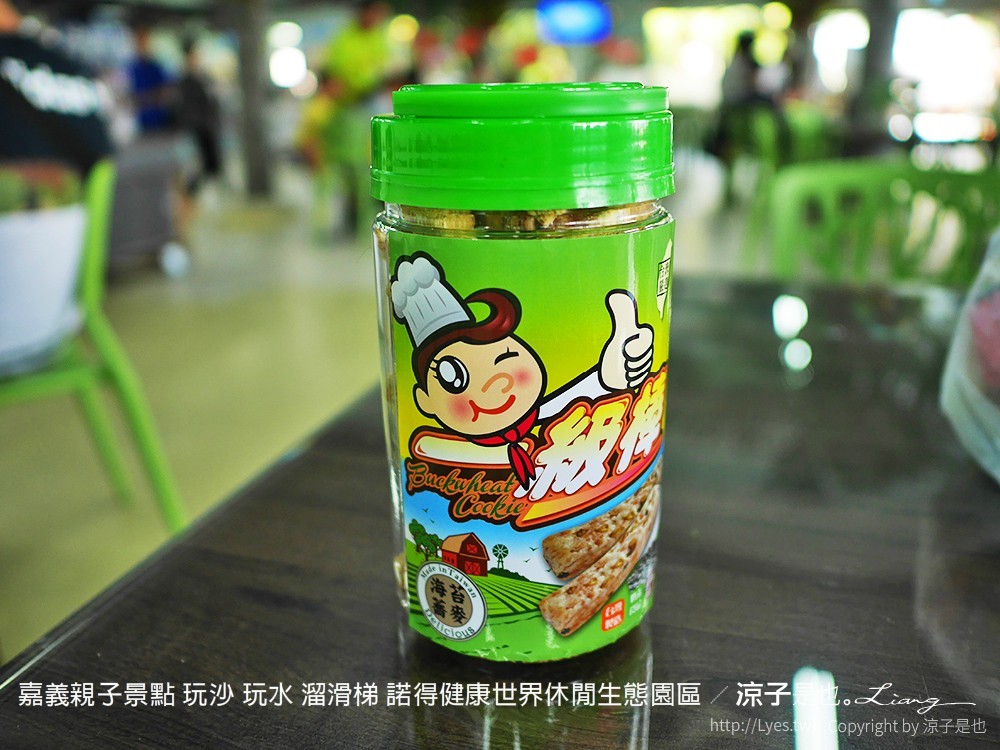 嘉義親子景點 玩沙 玩水 溜滑梯 諾得健康世界休閒生態園區