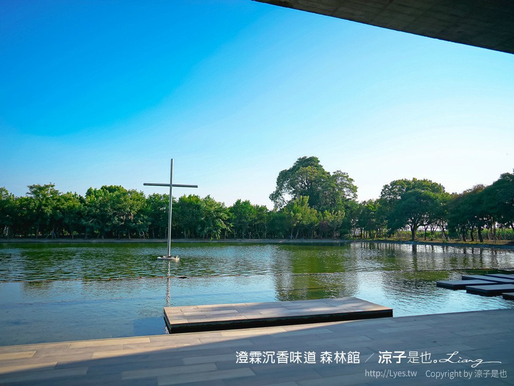 澄霖沉香味道森林館 雲林景點 愛心落羽松 湖畔步道 水之教堂 台版兼六園