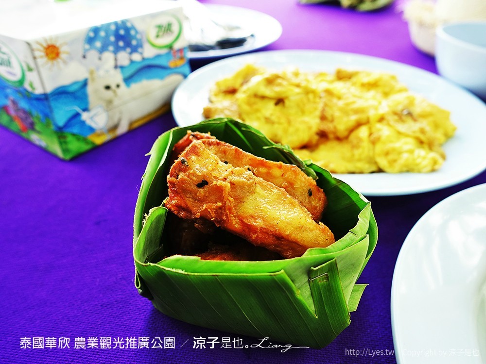 泰國華欣 農業觀光推廣公園