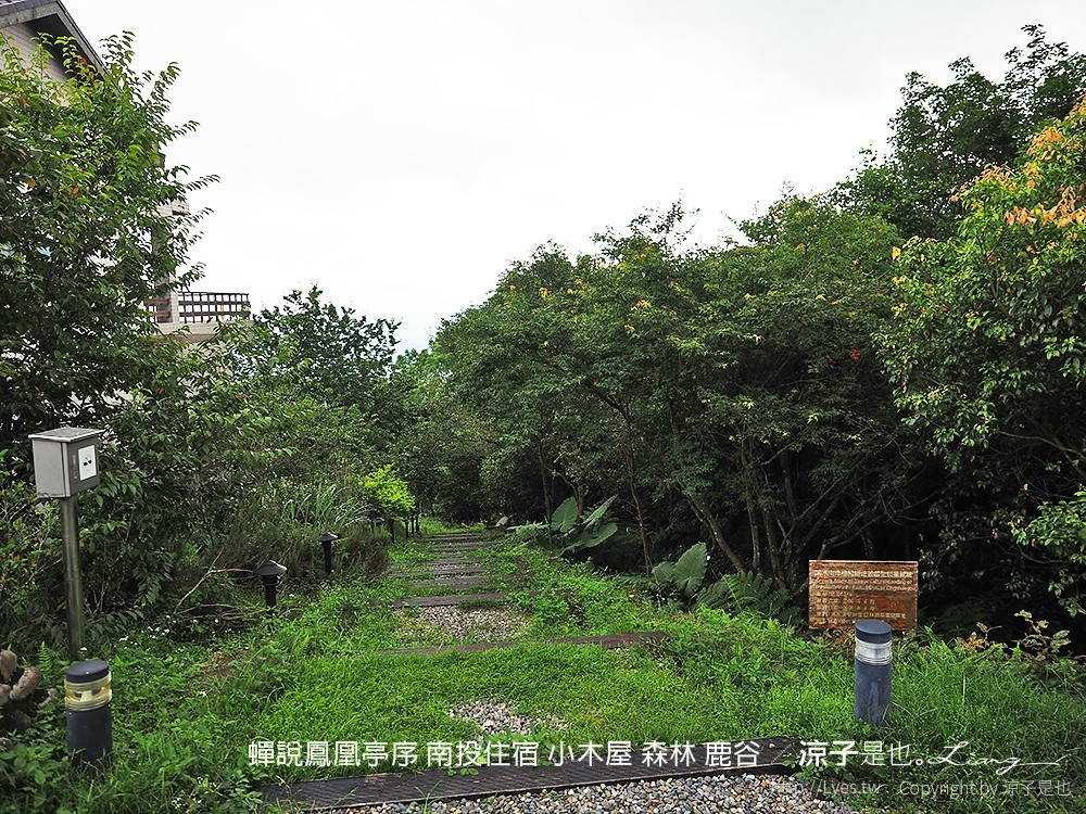 蟬說鳳凰亭序 南投住宿 小木屋 森林 鹿谷