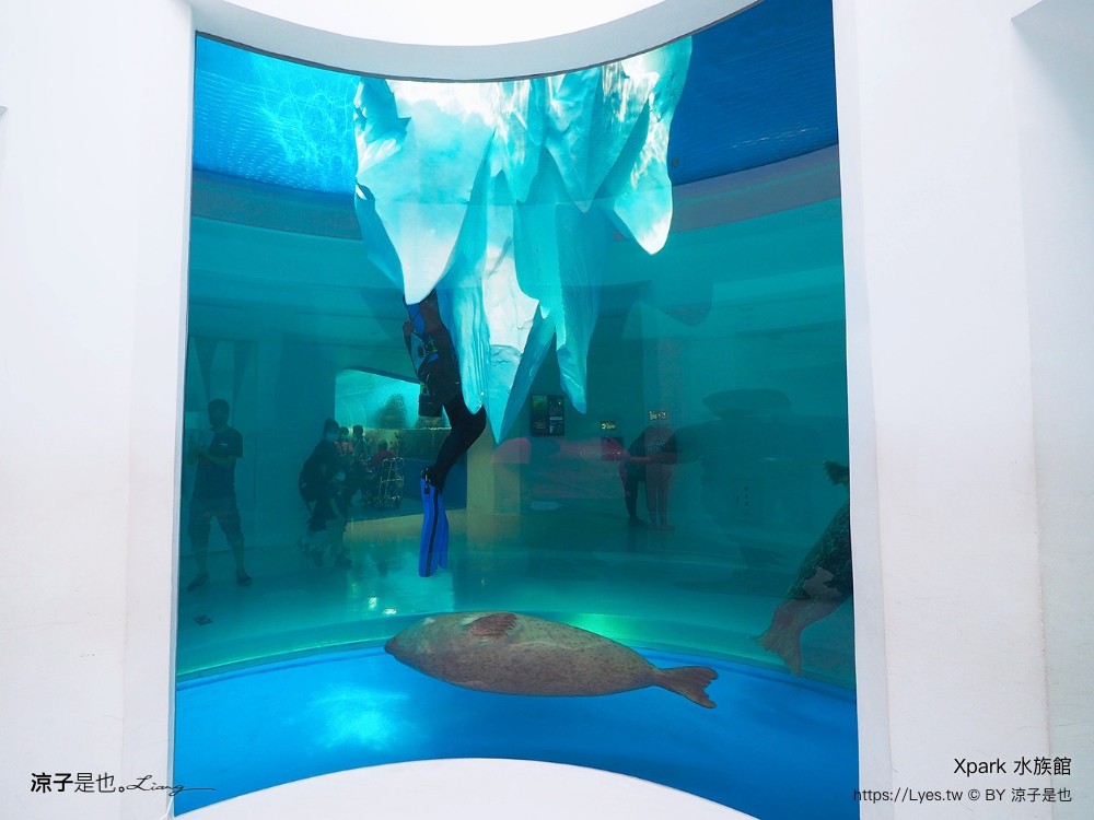xpark水族館 門票優惠 桃園 親子景點 最新攻略 必看展區 美食餐廳 交通 停車 住宿