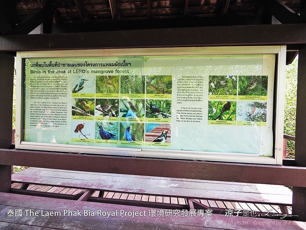 泰國 The Laem Phak Bia Royal Project 環境研究發展專案