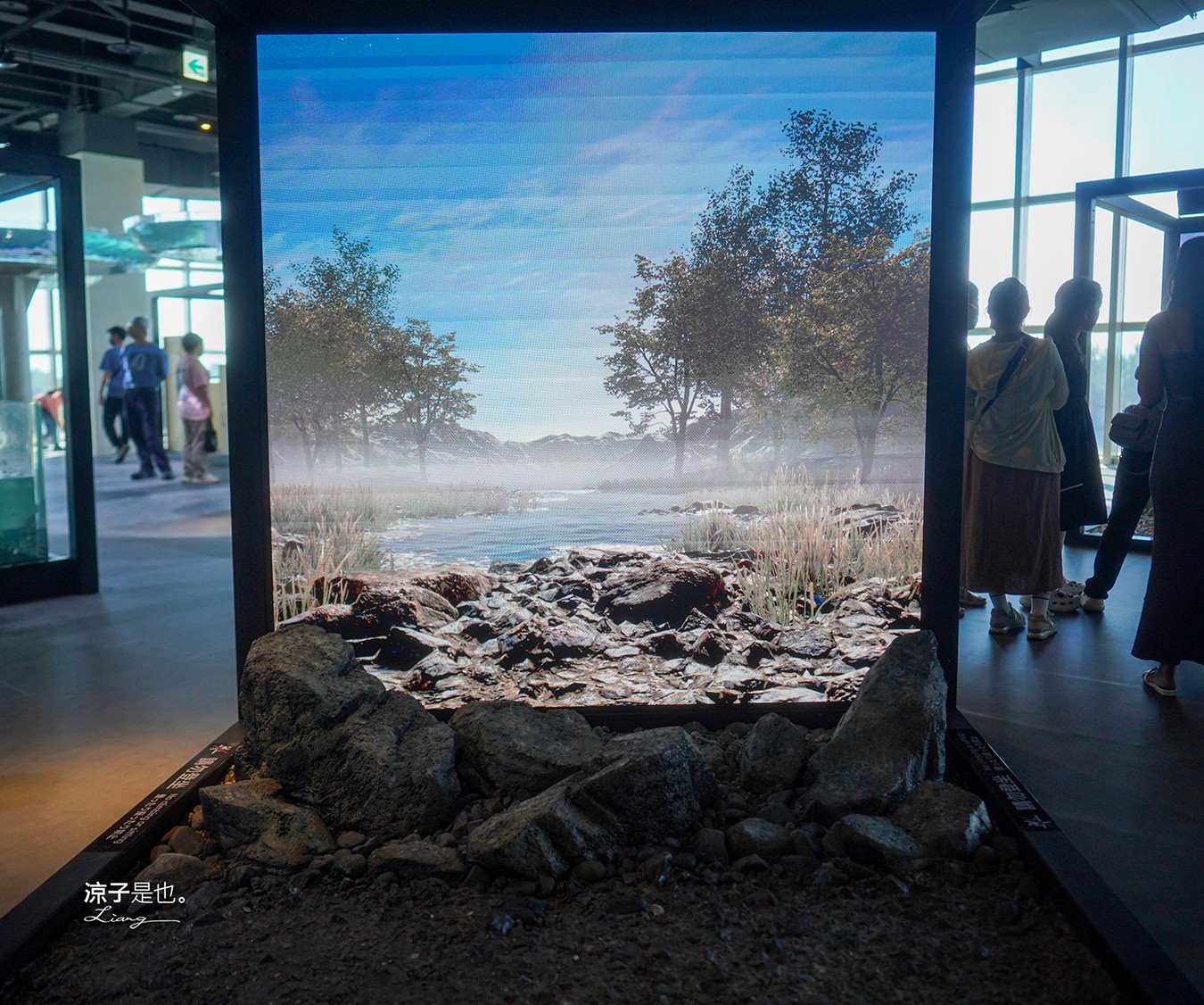 台中海洋館 門票優惠 交通 八大展區 免費票 台中親子景點 台中景點推薦 懶人包 攻略 必看特色