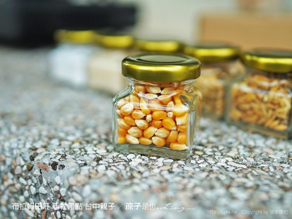 布拉姆田莊 新社景點 台中親子