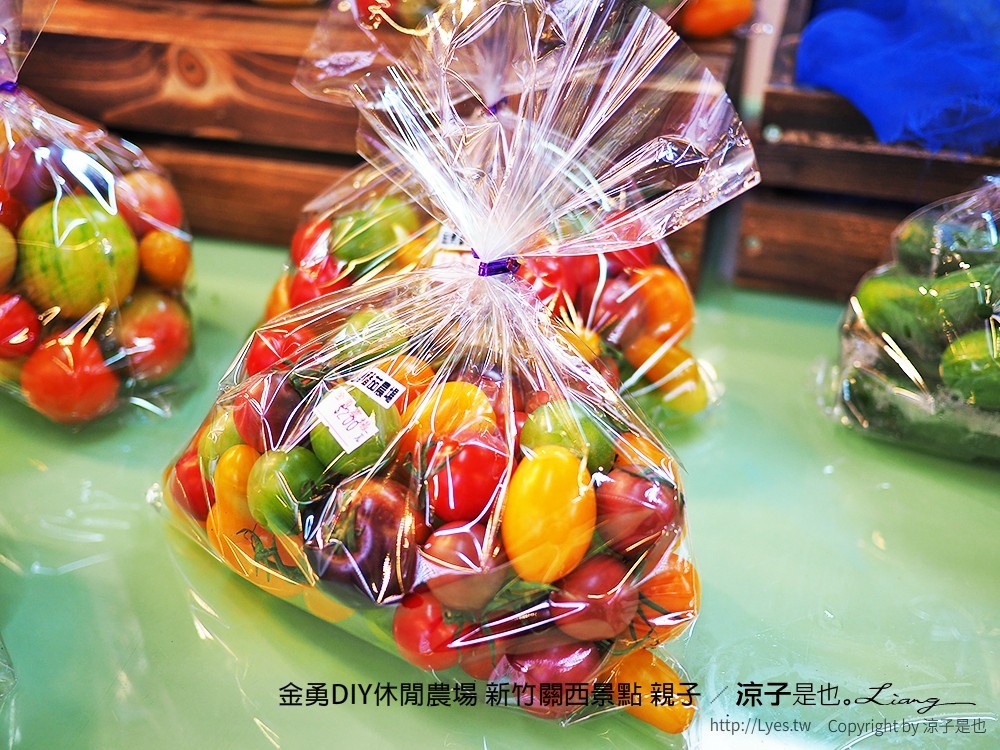 金勇DIY休閒農場 新竹關西景點 親子