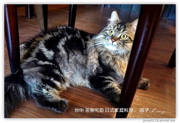 台中-茶寮侘助 日式家庭料理-雖然不錯吃，但有點小貴，CP值不高耶~