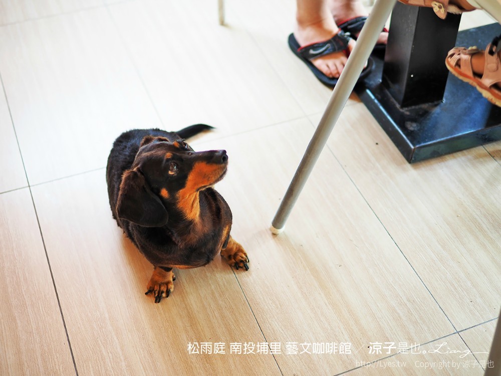 松雨庭 南投埔里 藝文咖啡館