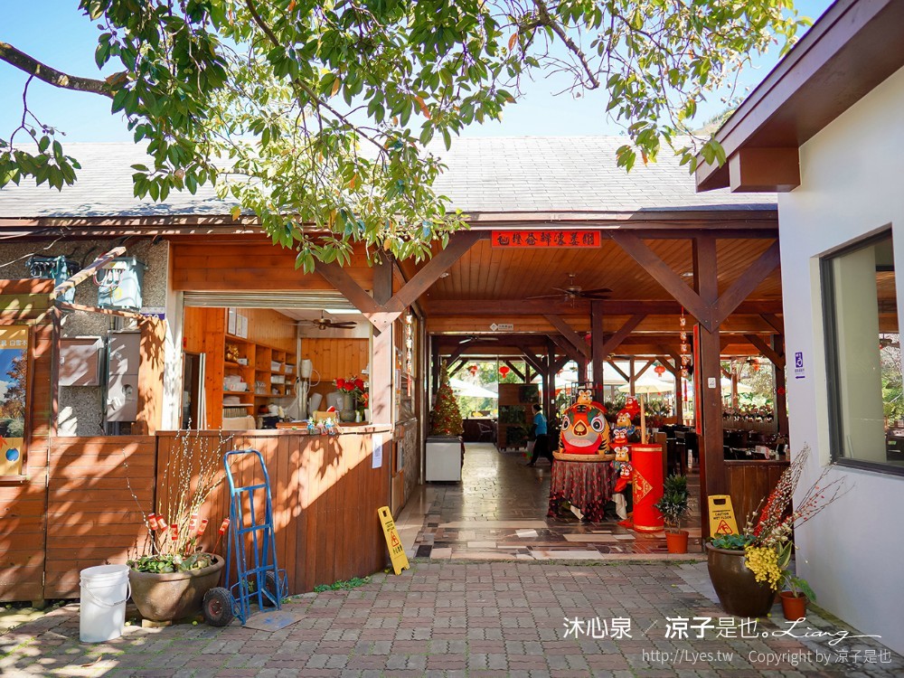 沐心泉休閒農場 2022 櫻花花況 票價 台中景點 預約 新社 親子景點 接泊車 白雪木 黃金楓