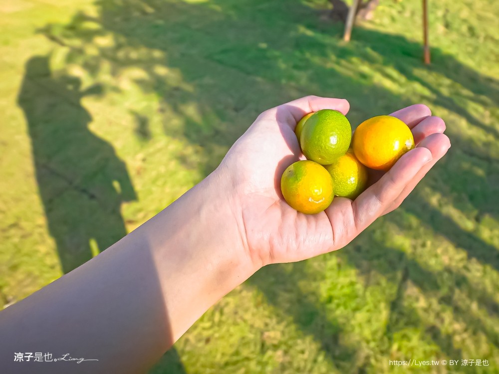 墾丁包棟民宿 屏東住宿 滿州住宿 touch villa 泳池 房型 庭院 卡拉ok 烤肉