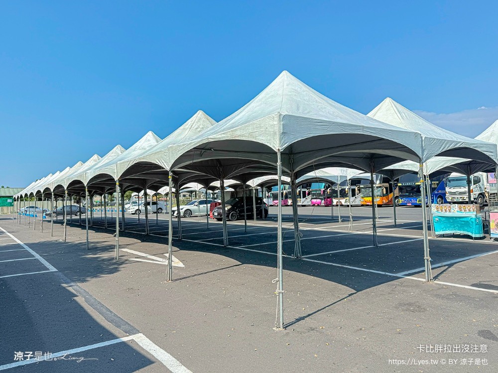 2025卡比胖拉出沒注意 台南景點 親子景點 水豚君 安平漁人碼頭 親子旅遊 假日市集 卡比胖拉夜間燈光秀 臺南萌翻天