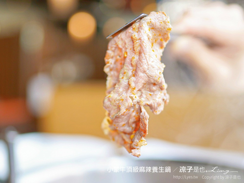 小蒙牛頂級麻辣養生鍋 台中 文心 麻辣火鍋吃到飽 崇德商圈 哈根達司 和牛 美食 菜單