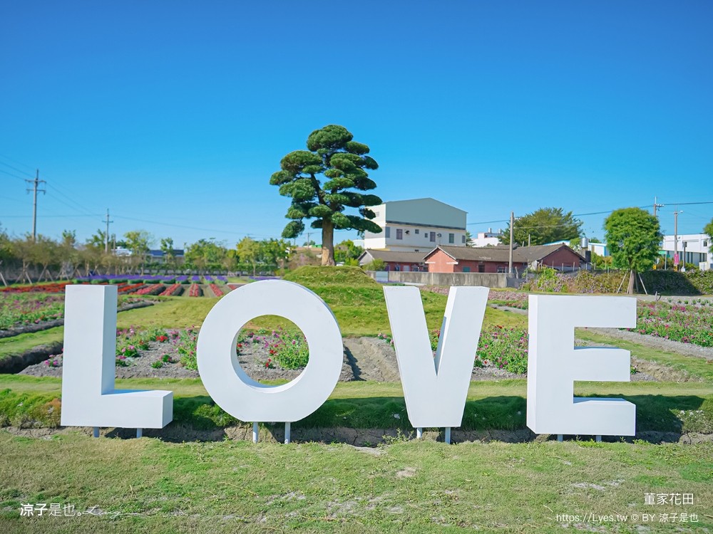 董家花田 菜單 門票 景點 彰化景點 田尾景觀餐廳 花海 戶外野餐 咖啡 交通
