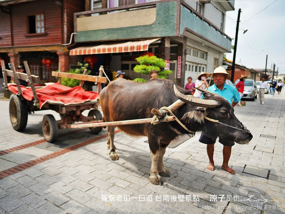 菁寮老街一日遊 台南後壁景點