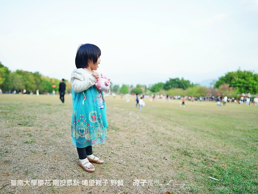 暨南大學櫻花 南投景點 埔里親子 野餐