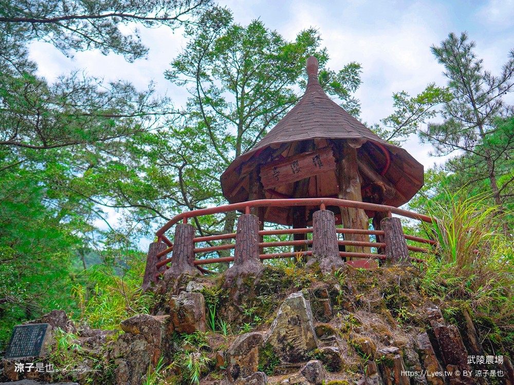 福壽山農場 民宿房型 住宿 露營 賞楓