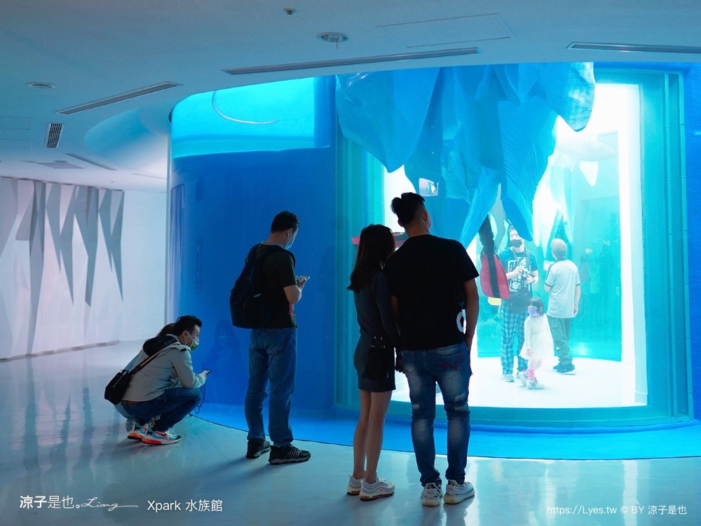 xpark水族館 門票優惠 桃園 親子景點 最新攻略 必看展區 美食餐廳 交通 停車 住宿