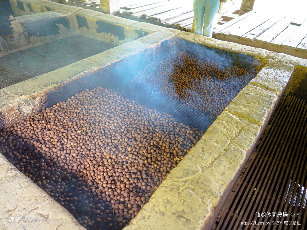 仙湖農場 仙湖休閒農場 住宿房型 台南民宿 早餐 餐廳 菜單 無邊際泳池 小動物 親子飯店 台南景點 龍眼