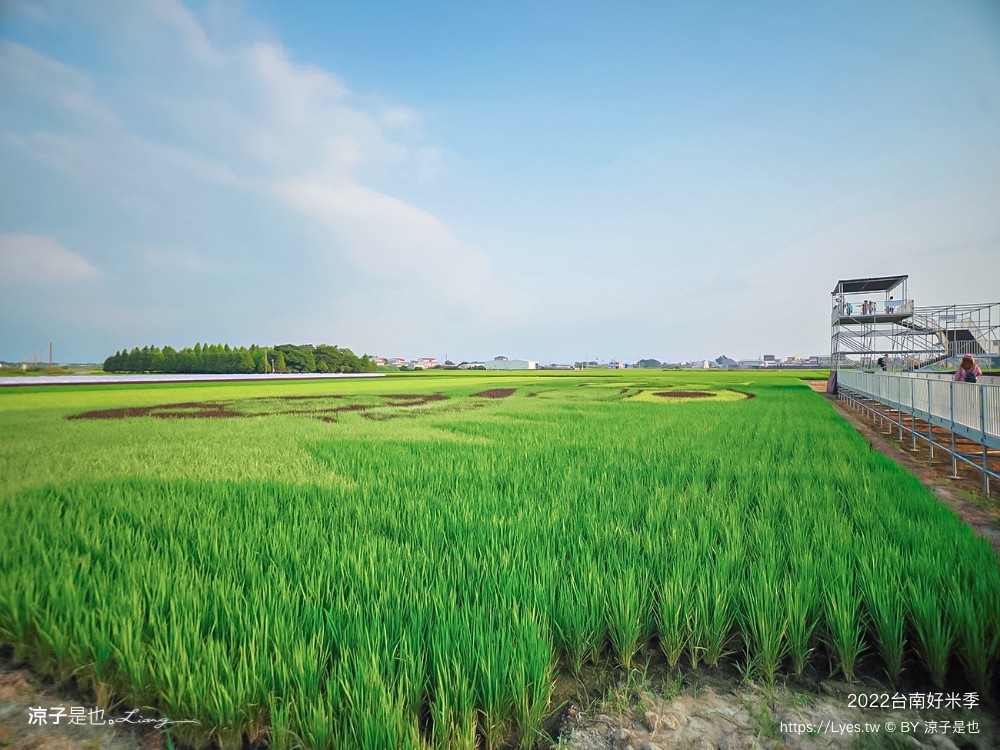 2022台南好米季 台南後壁景點 稻田彩繪 貓貓蟲咖波 稻陣走健走活動 網美打卡 親子景點