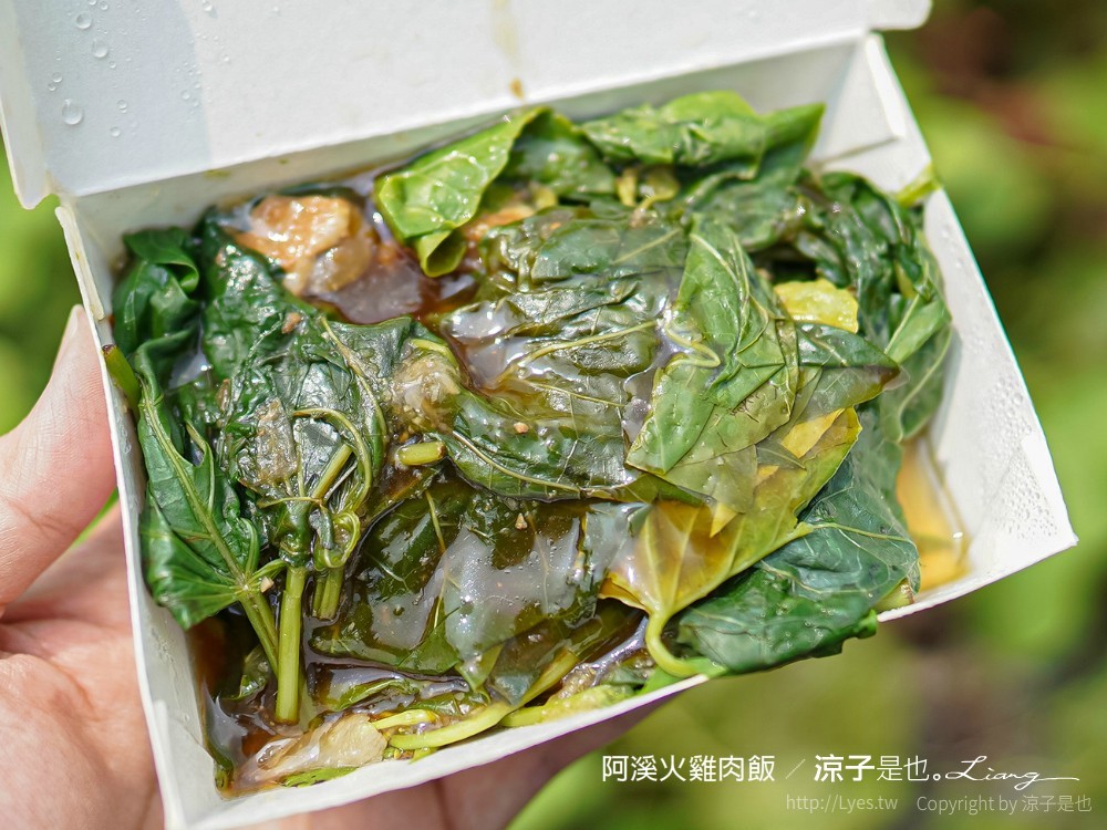 阿溪火雞肉飯 菜單 嘉義小吃 雞片飯 嘉義火車站 餐廳 美食