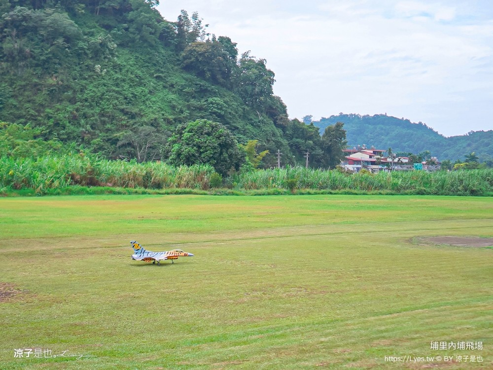 埔里景點 埔里內埔飛場 欒樹親子景點 南投藍花楹花道 賞花秘境 草地野餐 放風箏 玩球