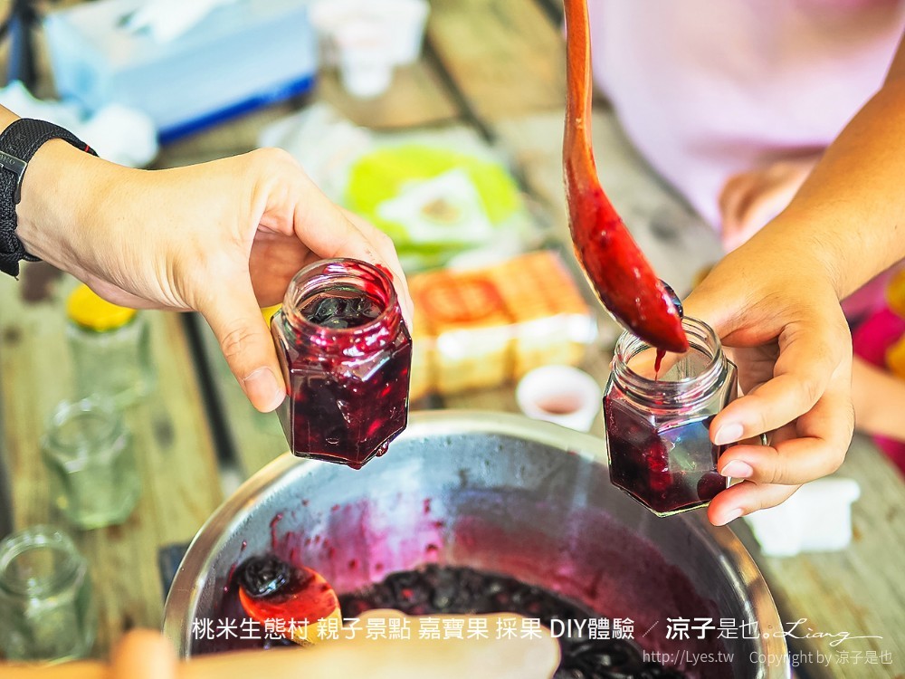 桃米生態村 親子景點 嘉寶果 採果 diy體驗