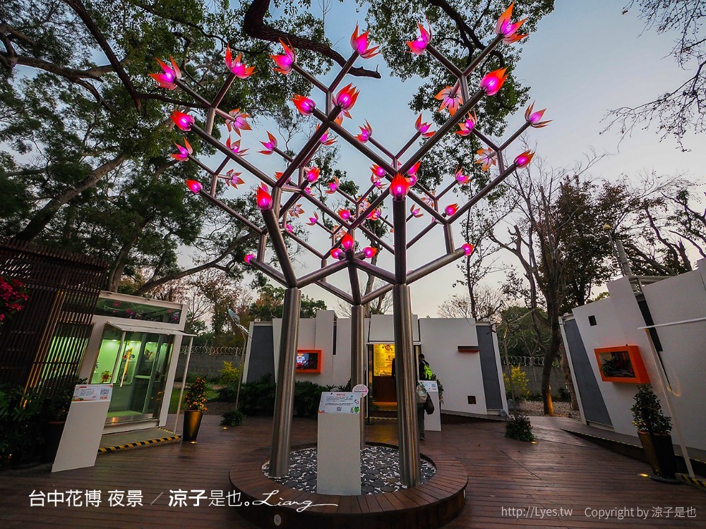 台中花博 夜景
