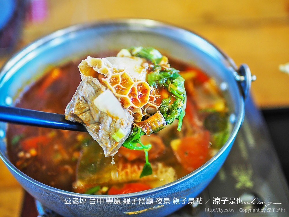 公老坪 台中 豐原 親子餐廳 夜景 親子景點