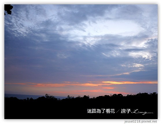 迷路為了看花 9