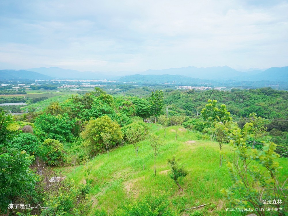 魔法森林景觀咖啡小餐館 菜單 台南景點 玉井景點 魔法森林 天空玻璃步道 台南景觀餐廳推薦